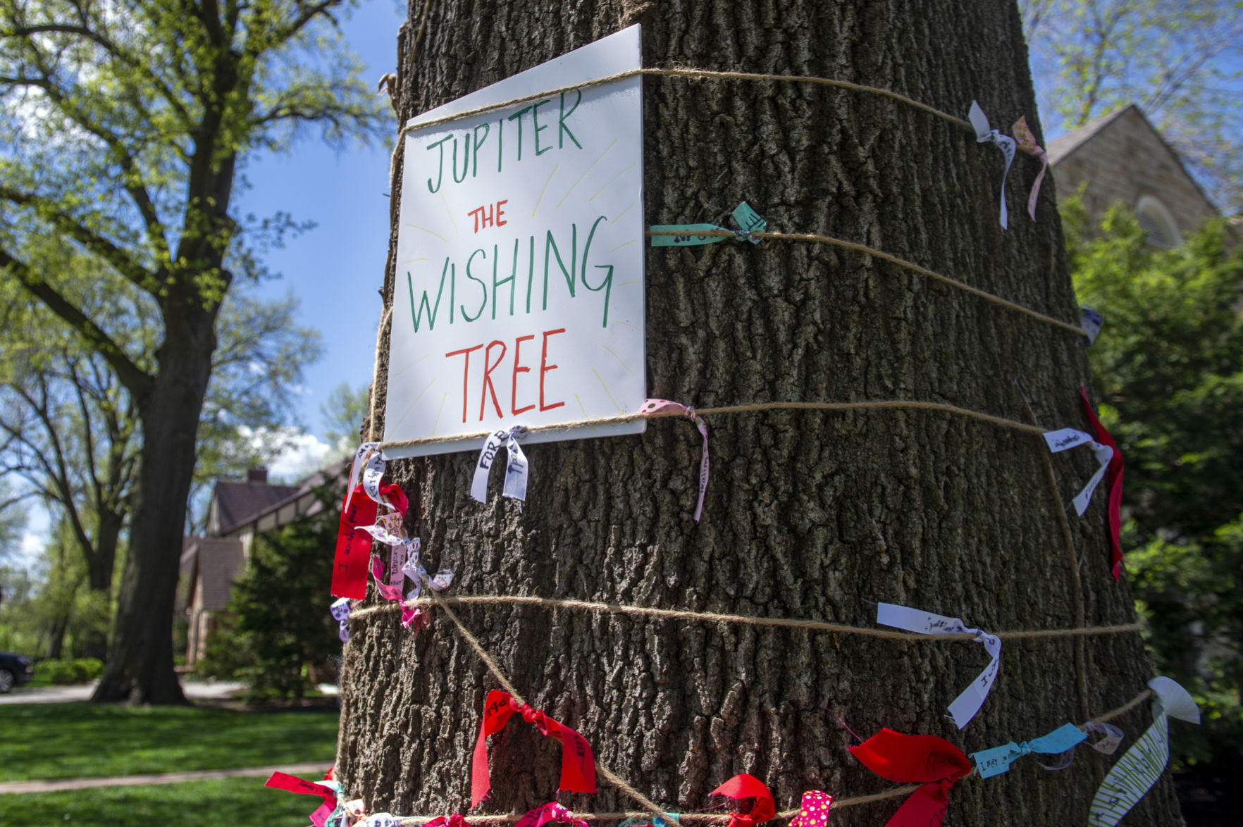 Wishtree